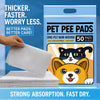 Pet Urine Cleanup Absorbent Sheets