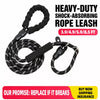 Dog Slip Lead for Everyday Walks and Training