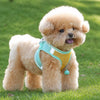 Nylon Dog Vest Harness with Leash