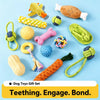 Dog Squeaky Chew Toy Set for Play and Solo Entertainment