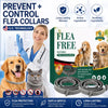 Adjustable Faux Leather Pet Collar for Cats and Dogs