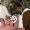 3D-Printed Arm & Hand Pet Collar Charm for Dogs & Cats