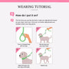 Dog Slip Lead for Everyday Walks and Training