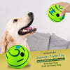 Squeaky Dog Ball Toy for Interactive Play