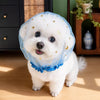 Breathable Mesh Muzzle for Small to Medium Dogs
