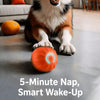 Interactive Electric Bouncing Ball Toy for Dogs