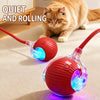 Adjustable Interactive Teaser Ball Cat Toy with String