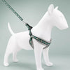 Small Dog Vest Harness for Walks