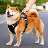 Dog Harness and Leash