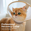 Lightweight Recovery Cone for Dogs and Cats