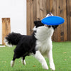 Dog Training Flying Disc Toy