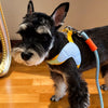 Y-Style Dog Harness and Leash Set for Small Dogs
