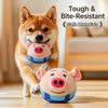 Interactive Dog Toys with Sound and Bouncing Action