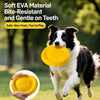 Interactive Dog Toys for Fetch, Tug and Training Play