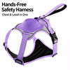 All-in-One Pet Harness and Leash Vest