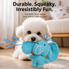 Plush Squeaky Dog Toy