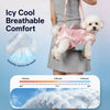 Portable Shoulder Pet Carrier Bag for Small Dogs and Cats