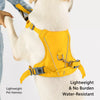 Lightweight Pet Harness and Leash Set