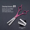 Pet Grooming Scissors for Dogs and Cats