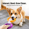 Interactive Dog Tug Ring Toy for Play and Training