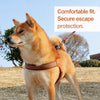 Vest-Style Dog Harness for Small to Medium Dogs
