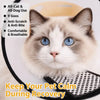 Soft Recovery Cone for Dogs and Cats