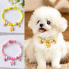 Adjustable Pet Collar for Cats and Small Dogs