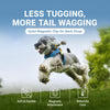 Adjustable Magnetic Vest Harness for Small Dogs
