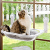 Transparent Capsule Cat Window Bed