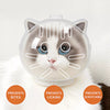 Transparent Cat Recovery Cone
