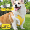 X-Style Dog Harness with Reflective Details and Round Rope Leash