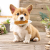 Squeaky Plush Chicken Leg Dog Toy
