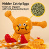 Fleece Catnip Squeaky Pet Toy