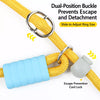 Polyester Dog Slip Lead for Training