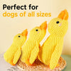 Plush Squeaky Pet Toy for Dogs and Cats