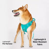 Lightweight Pet Harness and Leash Set