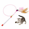 Cat Teaser Wand with Feather and Bell
