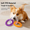 Interactive Dog Tug Ring Toy for Play and Training