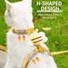 Nylon Vest Harness and Leash for Cats & Small Pets