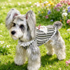 Lightweight Cotton Summer Shirt for Dogs and Cats