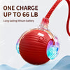 Adjustable Interactive Teaser Ball Cat Toy with String