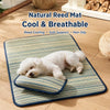 Silicone Pet Mat for Dogs and Cats