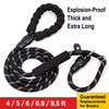 Dog Slip Lead for Everyday Walks and Training