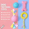 Dog Chew & Play Toys