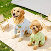 Printed Mesh Four-Leg Dog Shirt for Summer