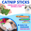Fish Crinkle Toy for Cats