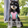X-Style Dog Harness with Reflective Details and Round Rope Leash
