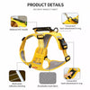 Dog Harness and Leash