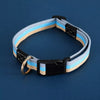 Adjustable Canvas Dog Collar