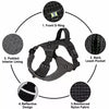 Lightweight Adjustable Vest-Style Dog Harness with Leash